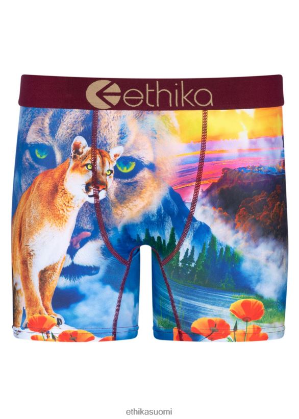 vaatetus Ethika keski hella miehet Z448DV221