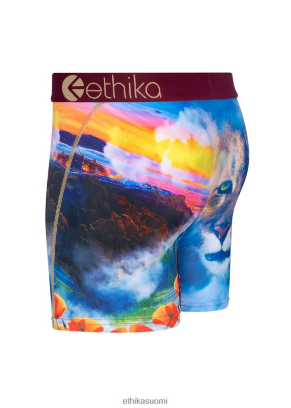 vaatetus Ethika keski hella miehet Z448DV221