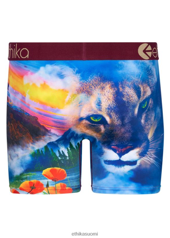 vaatetus Ethika keski hella miehet Z448DV221