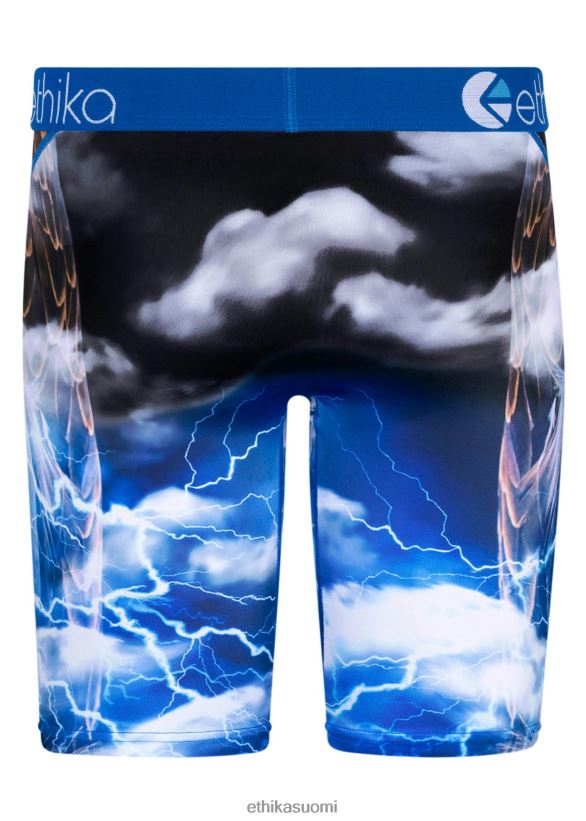 vaatetus Ethika Staple Eagle shokki miehet Z448DV101