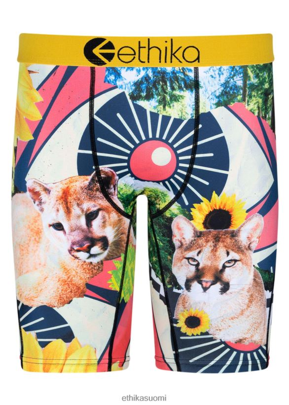 vaatetus Ethika niitti revitty & sekoitettu miehet Z448DV25