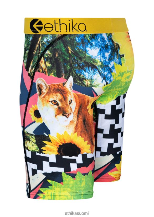 vaatetus Ethika niitti revitty & sekoitettu miehet Z448DV25