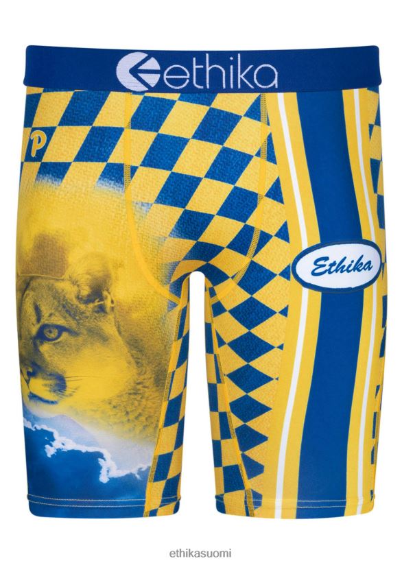 vaatetus Ethika staple pittsburgin palkintokorokkeelle miehet Z448DV410