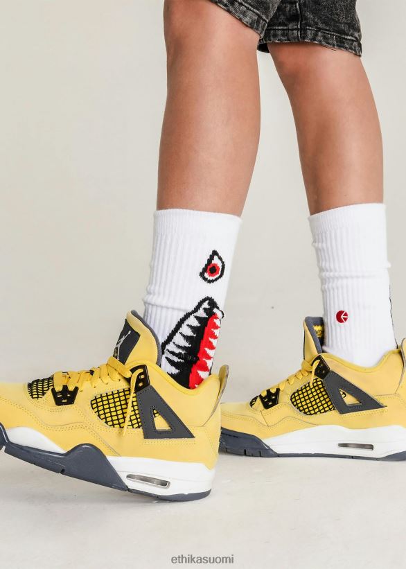 vaatetus Ethika fit kit - bomber checc miehet Z448DV130