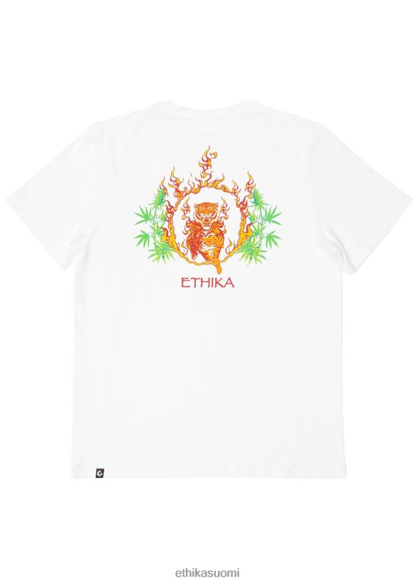 vaatetus Ethika graafinen tee paistettu sirkus - valkoinen miehet Z448DV539