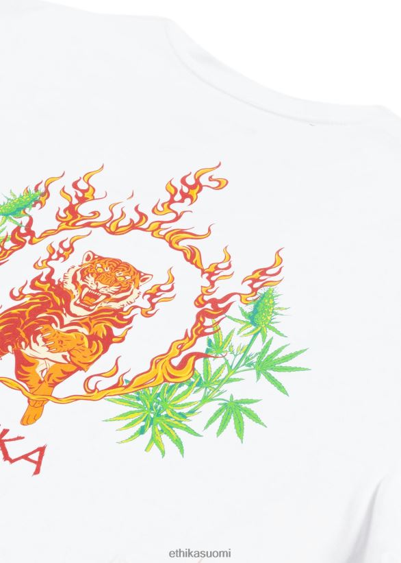 vaatetus Ethika graafinen tee paistettu sirkus - valkoinen miehet Z448DV539