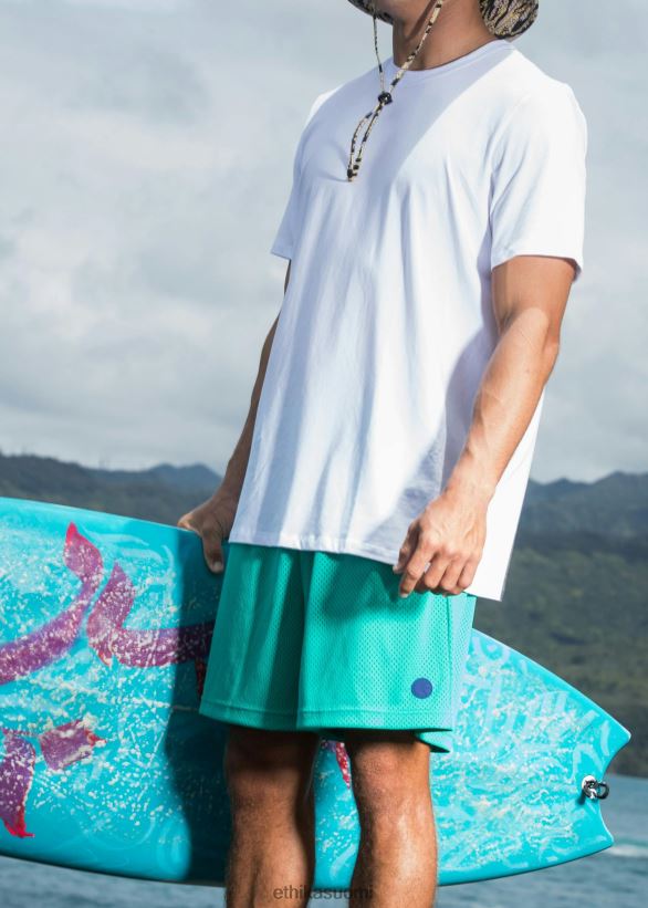 vaatetus Ethika koripallo lyhyt - sinivihreä miehet Z448DV656