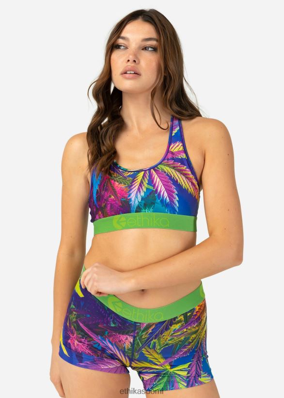 vaatetus Ethika urheiluliivit uv haze naiset Z448DV1135